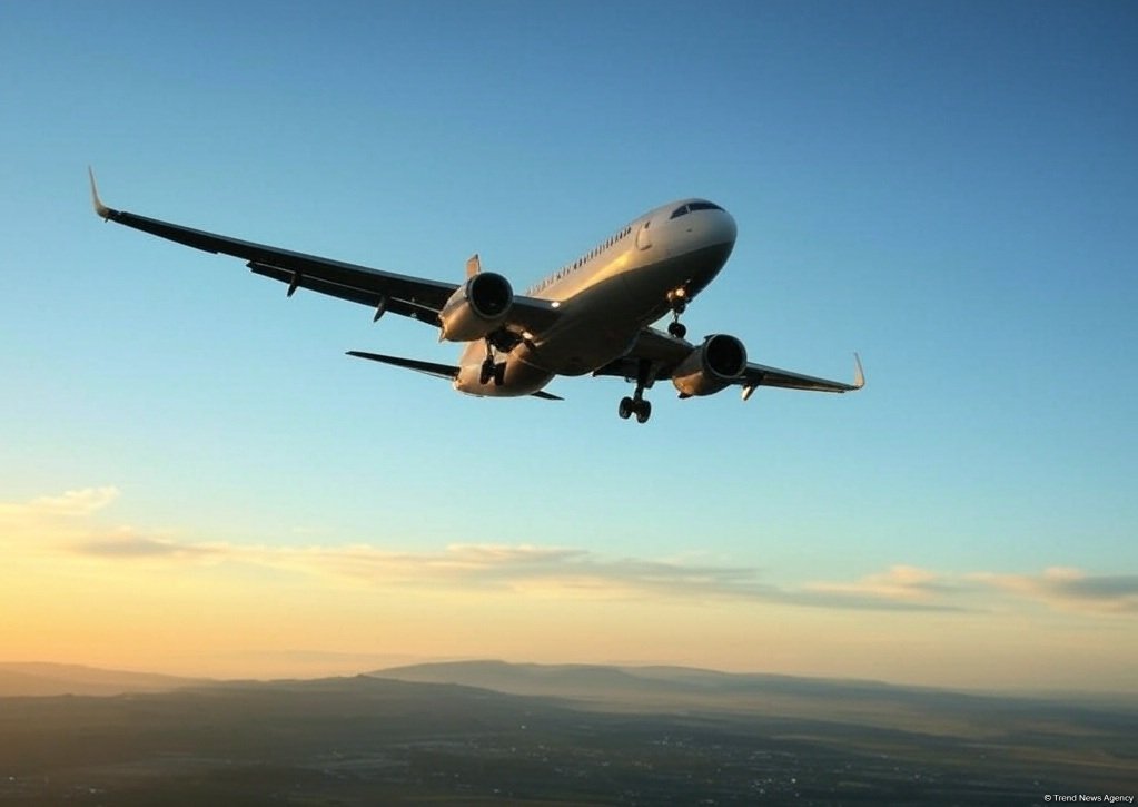Fog in Türkiye causes some flights to be cancelled