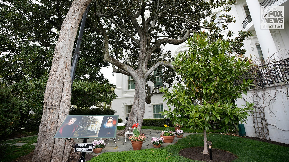 Close-up of one garden among the public tours of White House garden in Washington, D.C.