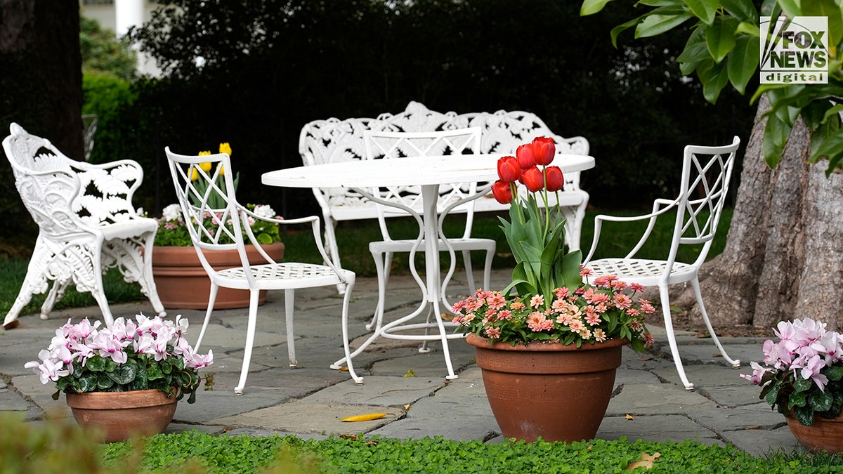Public tours of the White House garden begin today in Washington, D.C.
