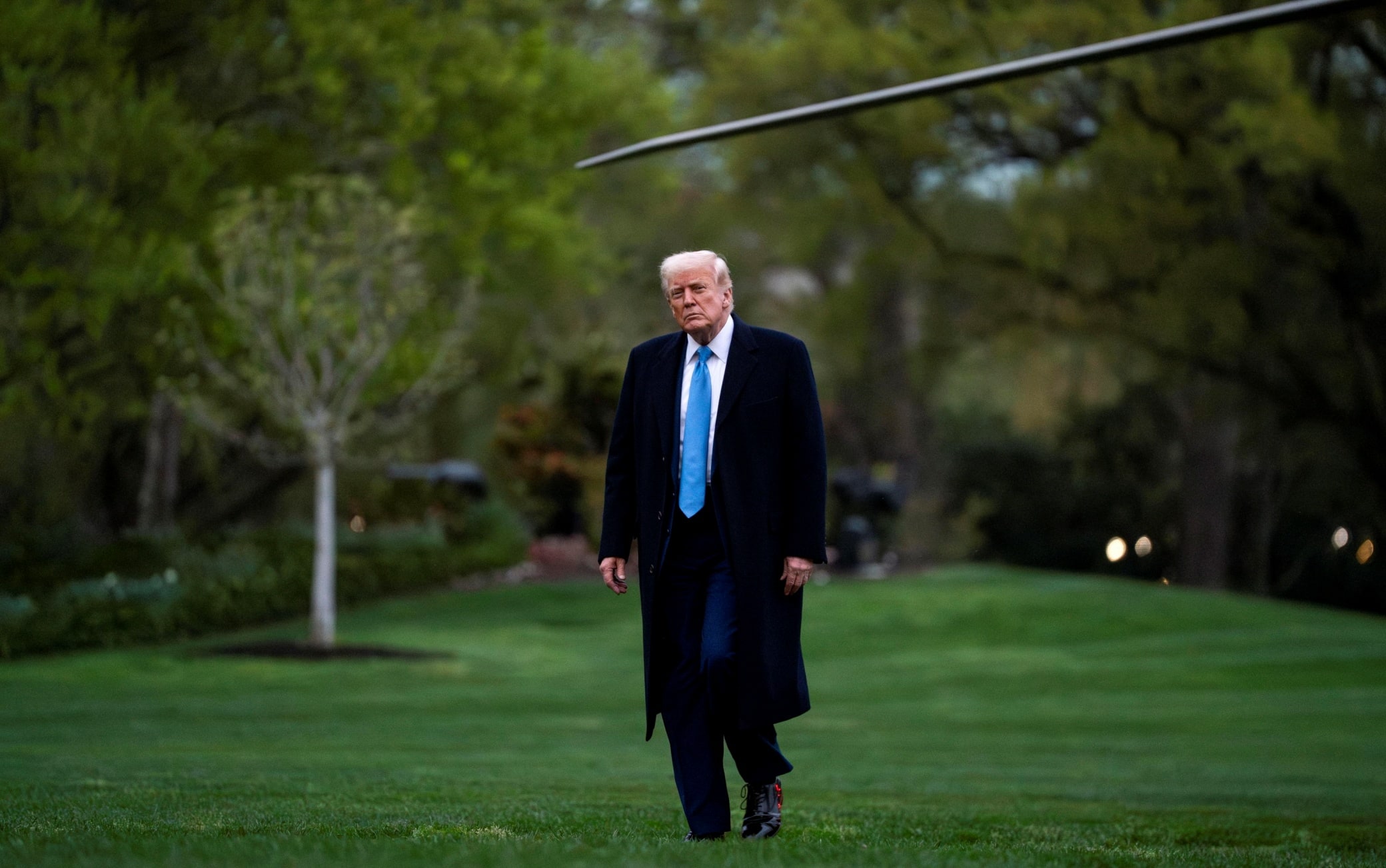trump