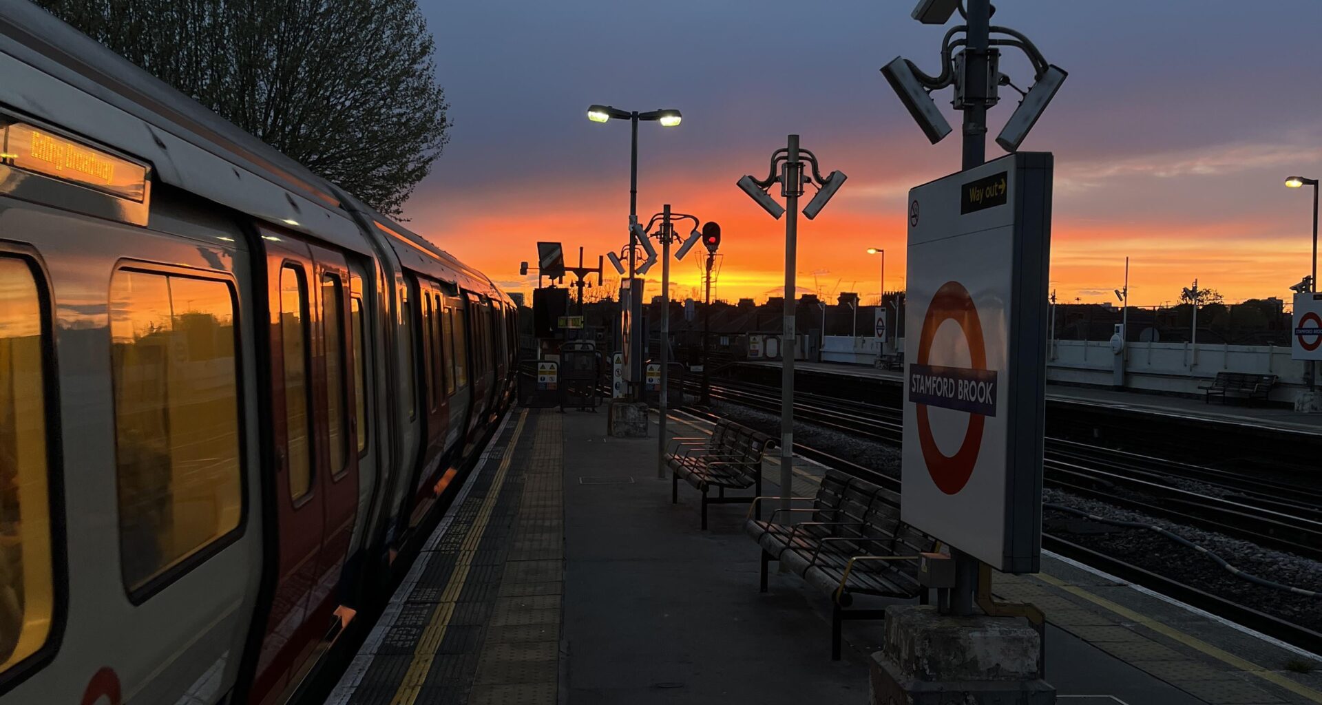 Homeward bound