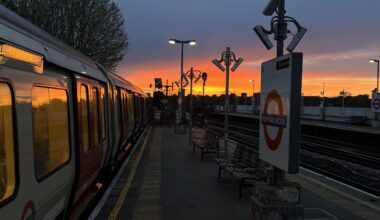 Homeward bound