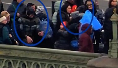 Police disguised as Batman and Robin arrest rogue street traders on Westminster Bridge