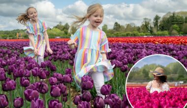 Nine million tulips bloom near King Charles’ Sandringham Estate — see the incredible pics