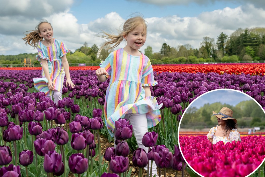 Nine million tulips bloom near King Charles’ Sandringham Estate — see the incredible pics
