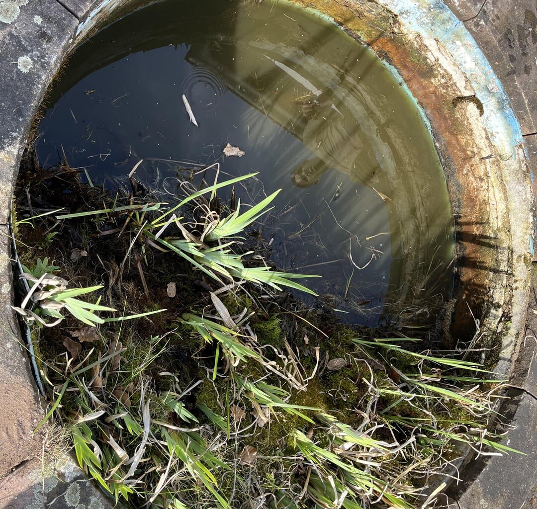 Update: Teich mit gekauft beim Hauskauf