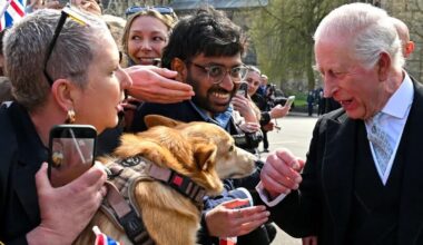 King Charles meets Lilibet the corgi on return to Maundy service