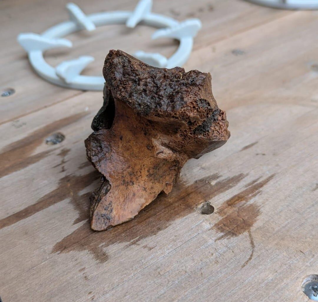 Was hat mein Mann hier im Garten ausgebuddelt?