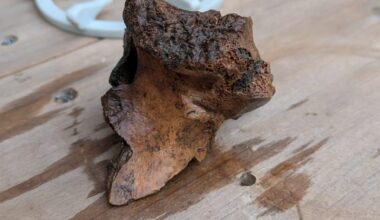 Was hat mein Mann hier im Garten ausgebuddelt?