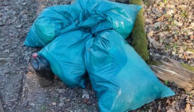 3 Leute, 5 80Liter-Säcke, 1 Wochenende