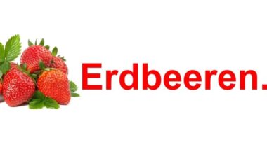 habt ihr schon einmal Erdbeerpflanzen hier gekauft?