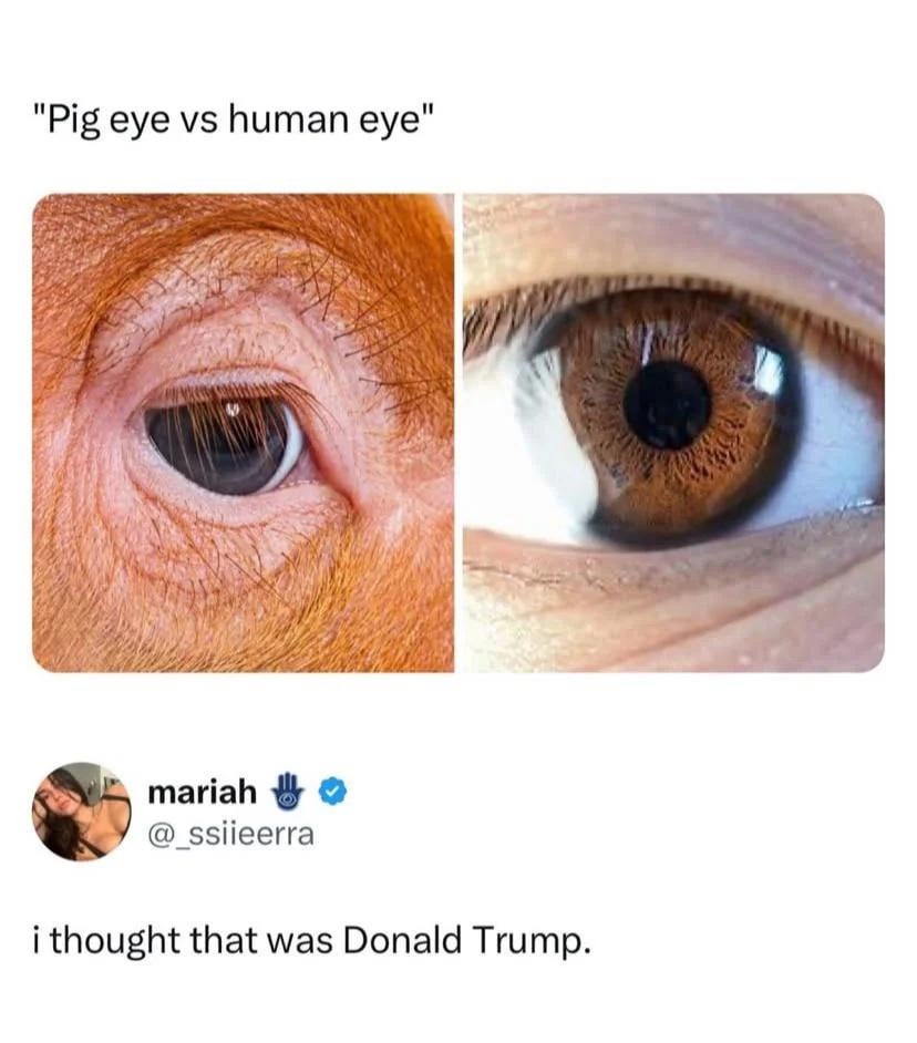 Whose eye? 👀