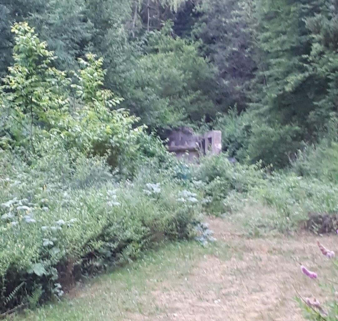 Veränderung im Garten