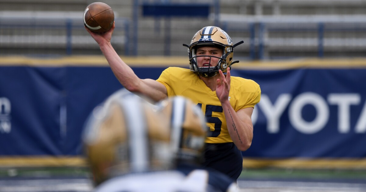 Montana State Bobcats play in 2025 spring game