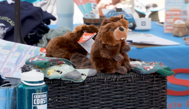 SLO Co. Beaver Festival celebrates furry 'climate change superheroes'