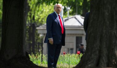 Trump hangs new artwork featuring himself in the White House