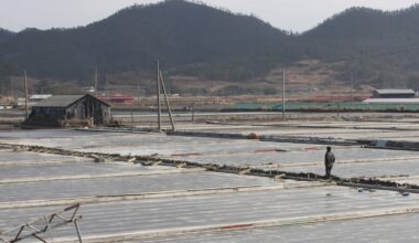 US blocks sea salt imports from South Korean salt farm over forced labor concerns
