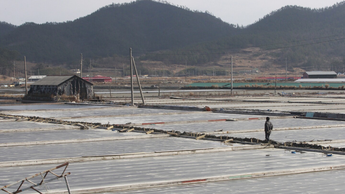 US blocks sea salt imports from South Korean salt farm over forced labor concerns