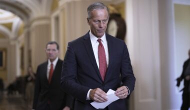 Thune's 'old-fashioned' approach to Senate has kept Trump on board so far