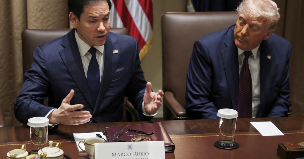 State Department spokesman speaks on Trump tariffs, NATO relations, deportations
