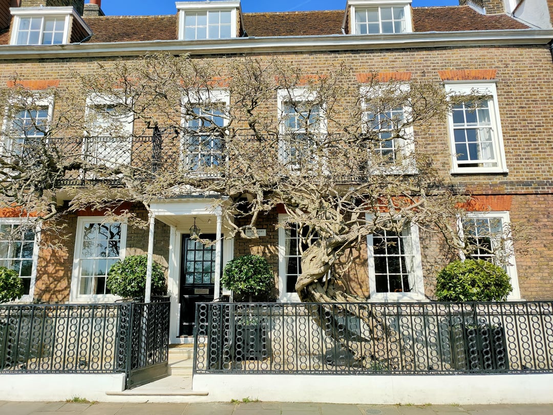 Chiswick Mall - before and after photos. Two weeks apart.