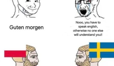 🇵🇱🤝🇸🇪