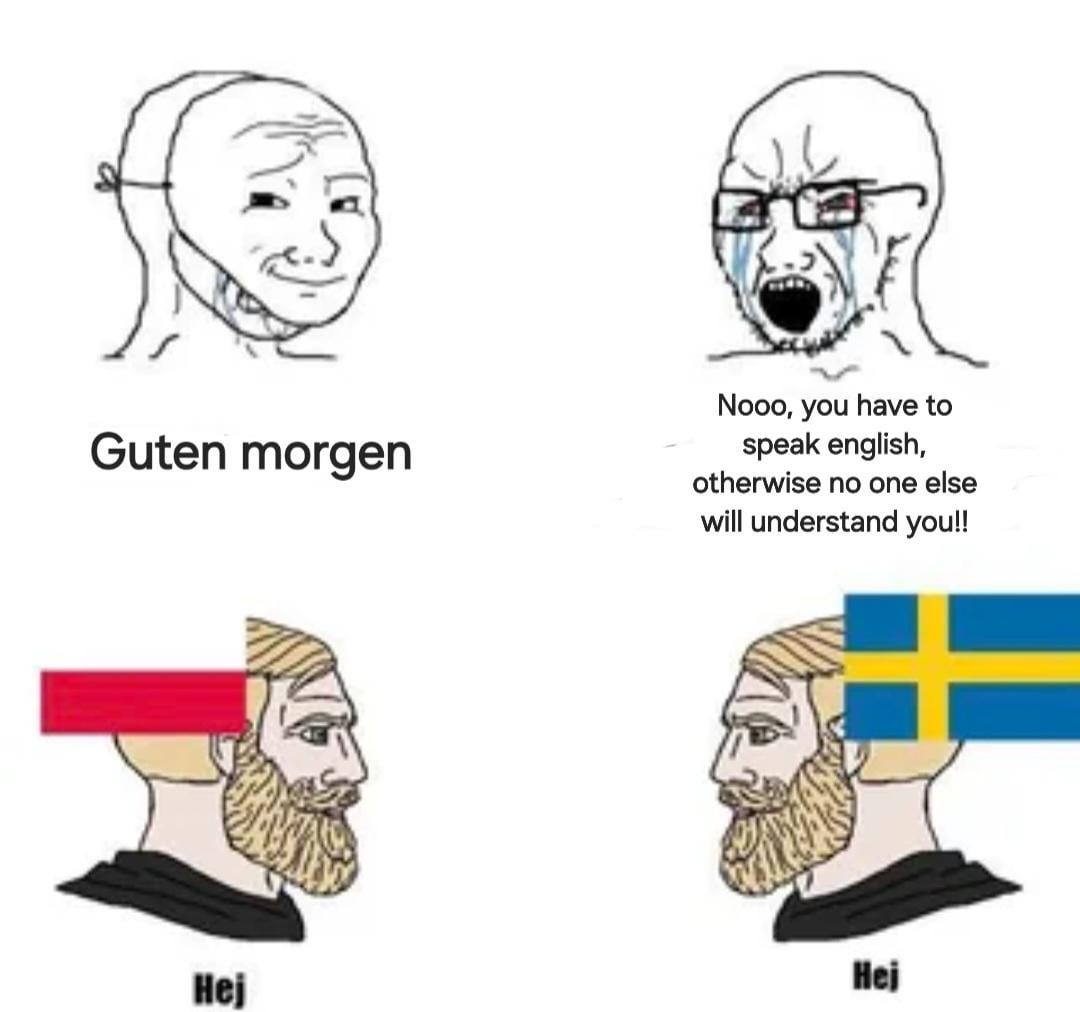 🇵🇱🤝🇸🇪