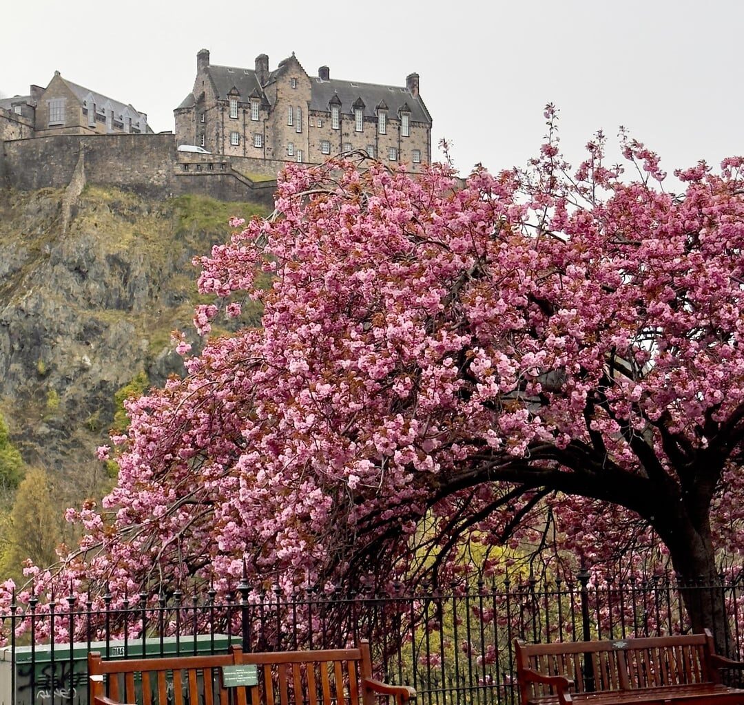 Just back from Edinburgh