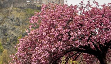 Just back from Edinburgh
