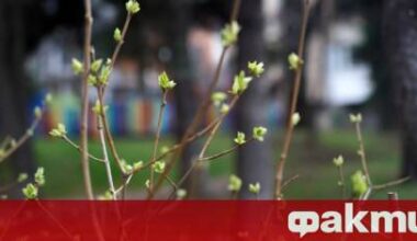 Времето днес, прогноза за вторник, 15 април: Облачно, в Западна България ще превалява ᐉ Новини от Fakti.bg - България