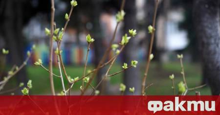 Времето днес, прогноза за вторник, 15 април: Облачно, в Западна България ще превалява ᐉ Новини от Fakti.bg - България