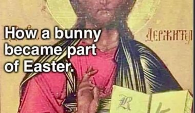 Find the Easter bunny