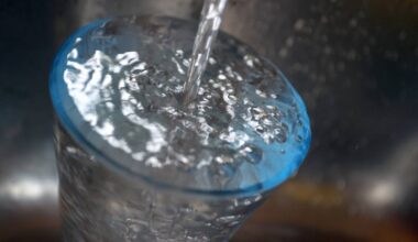 Trinkwasser aus der Mosel? Luxemburg plant Aufbereitungsanlage