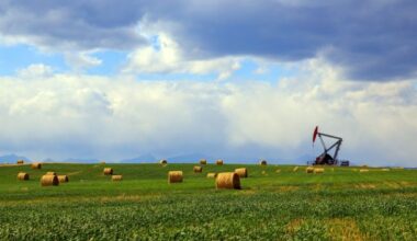 Waterous Raises $1B PE Fund for Canadian Oil, Gas Investments