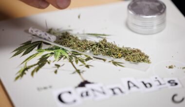"Wegen rechtlicher Zwänge": Bayern genehmigt drei Cannabisclubs