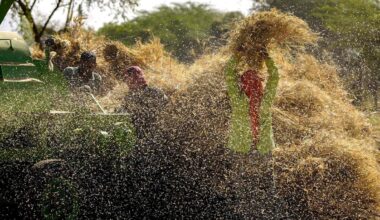 Good agricultural output, sliding crude oil prices urge RBI to cut inflation estimates to 4 per cent- The Week