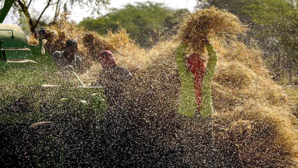 Good agricultural output, sliding crude oil prices urge RBI to cut inflation estimates to 4 per cent- The Week