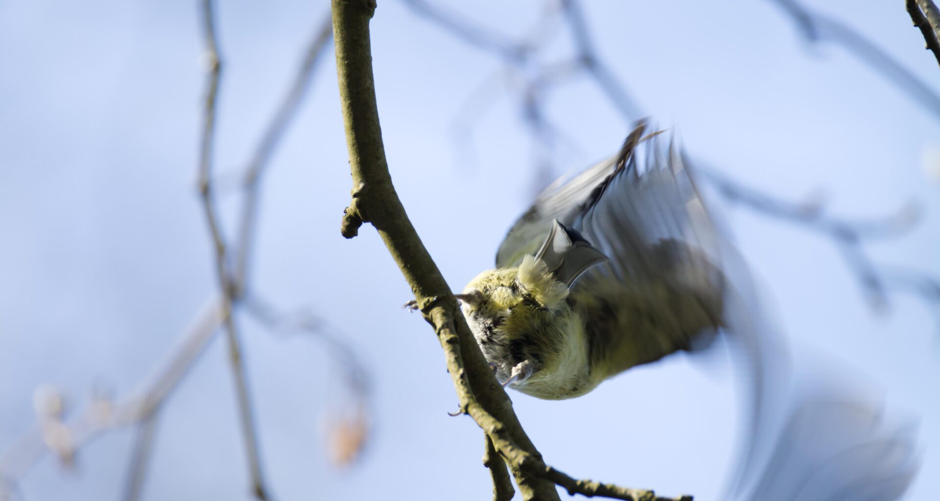 Wenn rolling shutter zu Kunst wird...