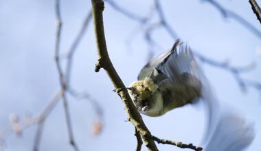 Wenn rolling shutter zu Kunst wird...
