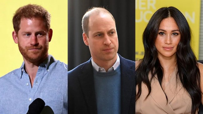 Will Prince Harry & Meghan Markle's Titles Be Removed by Prince William?