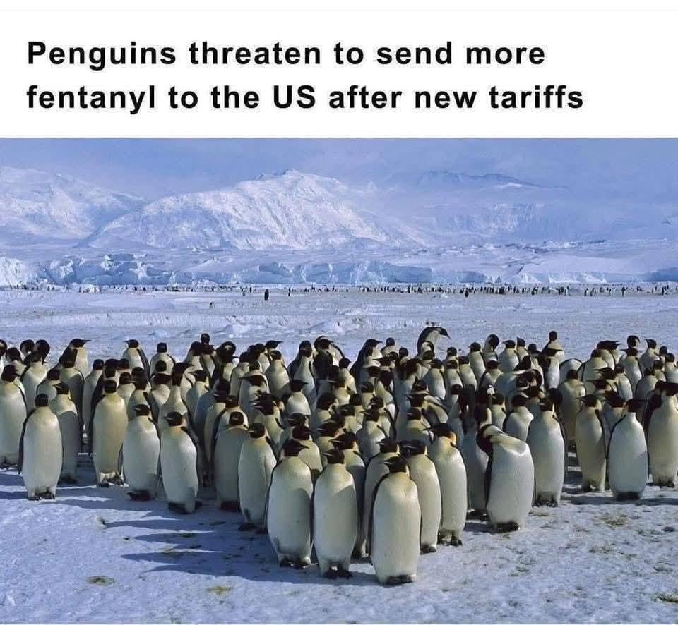 Penguins strike back