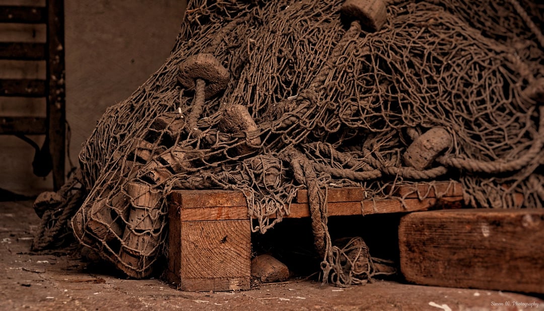 A few shots from NT Calke Abbey. If you've been, maybe you have seen these too?