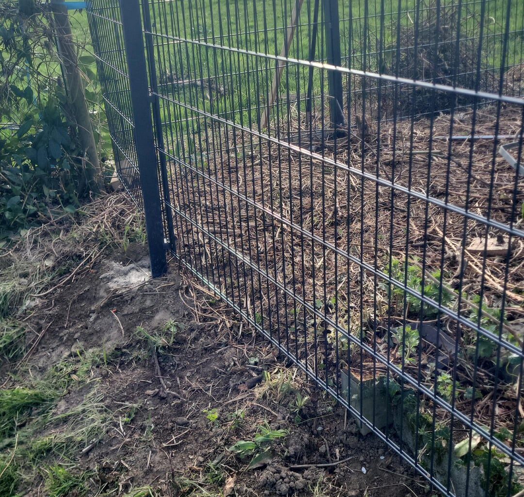 Nachbars neuer Zaun