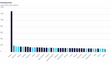 [OC] Housing Rent Price Index of some countries together with OECD