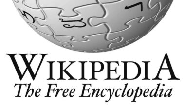 Delhi HC flags Wikipedia’s ANI page as defamatory, issues takedown order