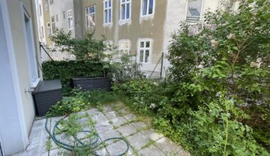 Ideen für WG-Garten gesucht