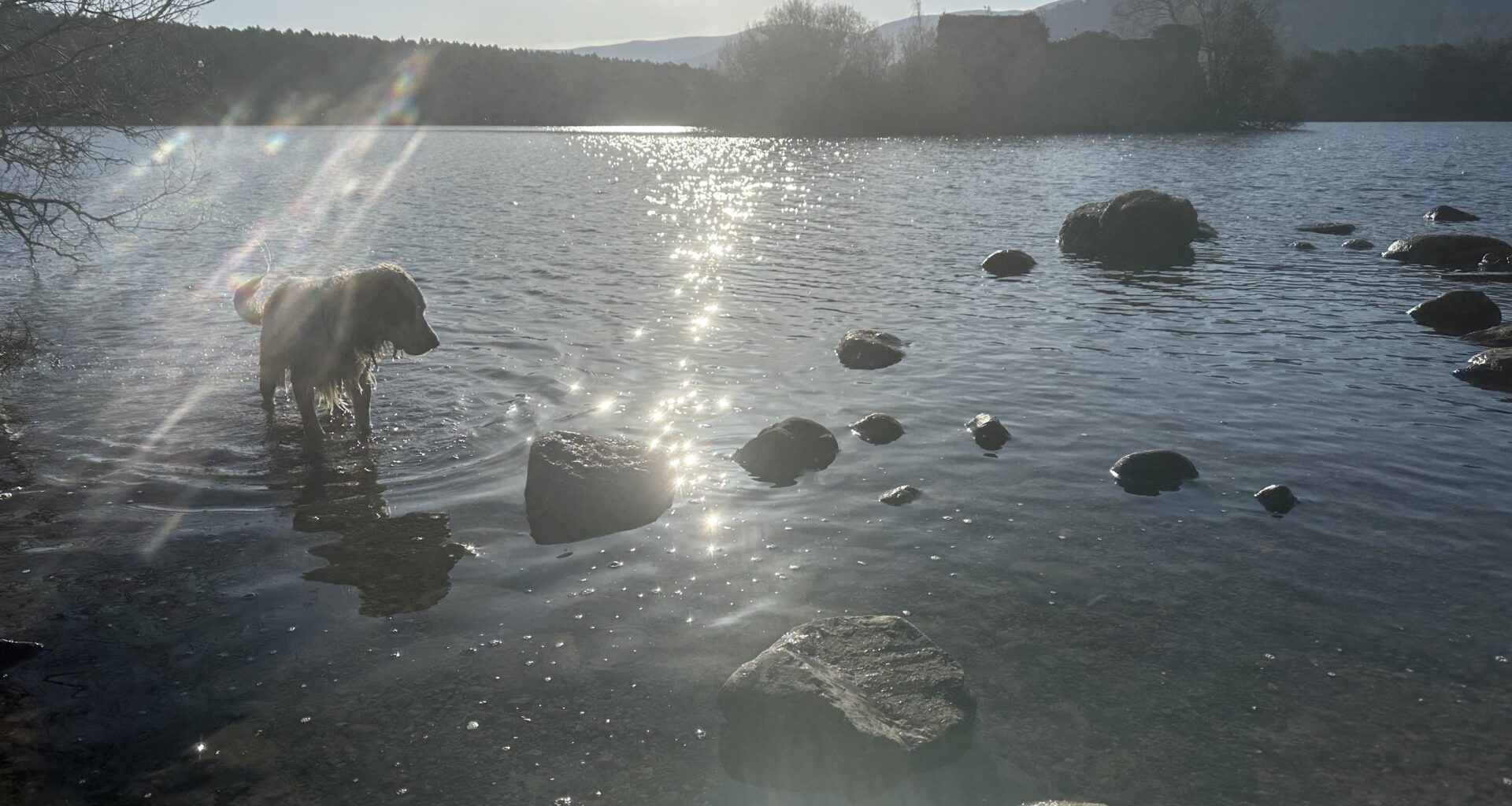 A beautiful day at Loch an Eilein 😍