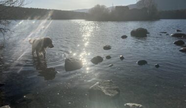 A beautiful day at Loch an Eilein 😍
