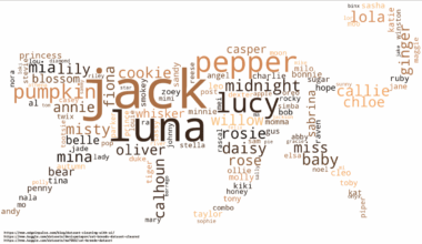 [OC] Most popular cat names extracted from ~40,000 pictures of cats