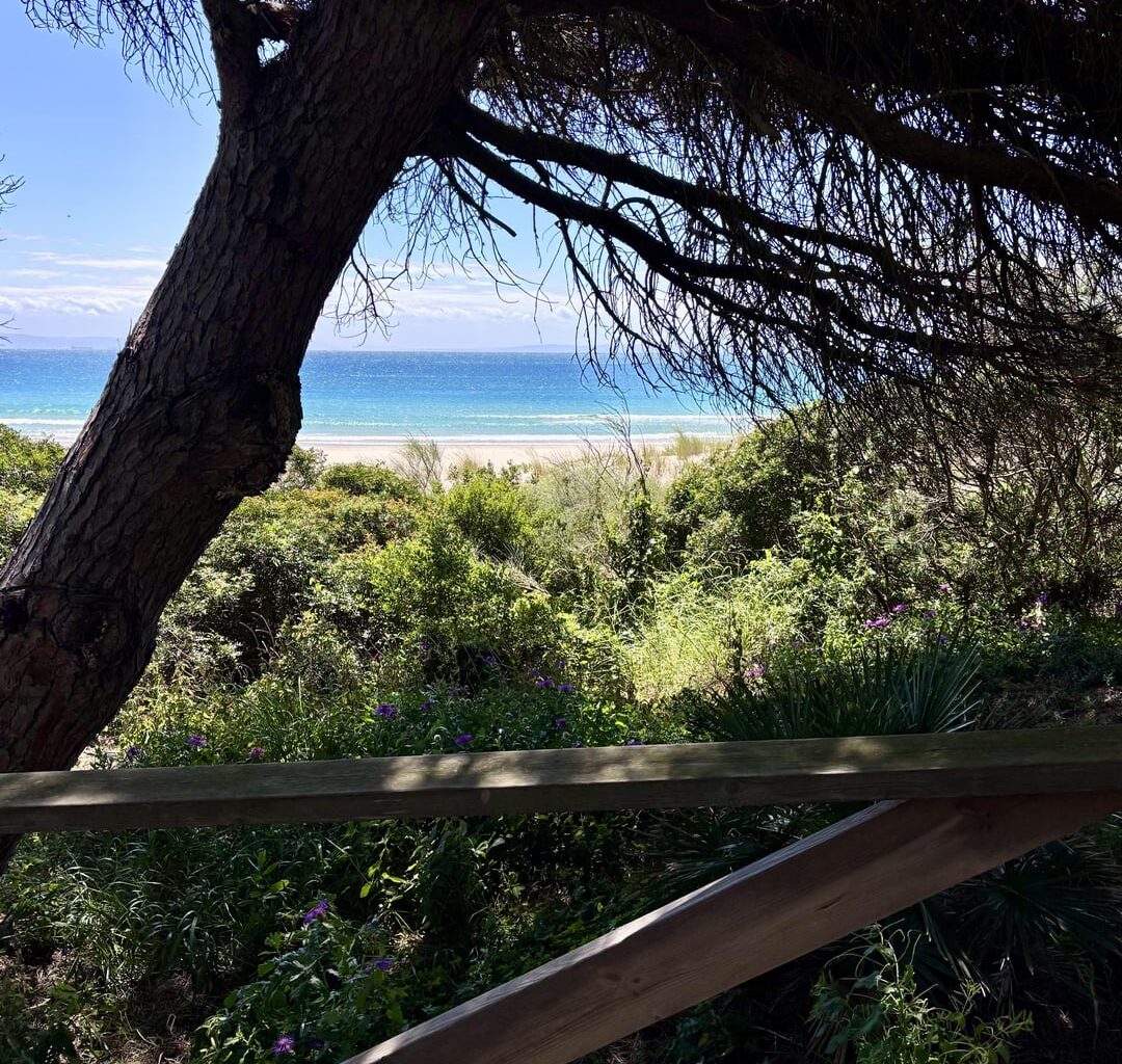 Bolonia, Cádiz Province 😍